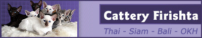 Homepage der Cattery Firishta�s