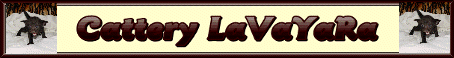 Homepage LaVaYaRa Cattery