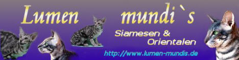 Homepage Lumen-Mundi�s