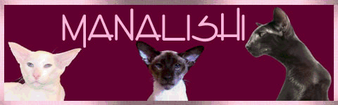 Manalishi Cattery