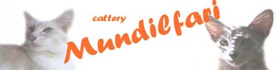 Mundilfari Cattery