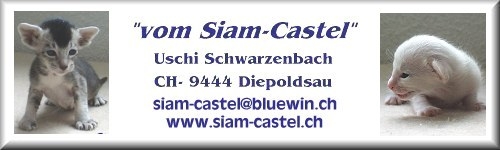 Cattery Siam Castel