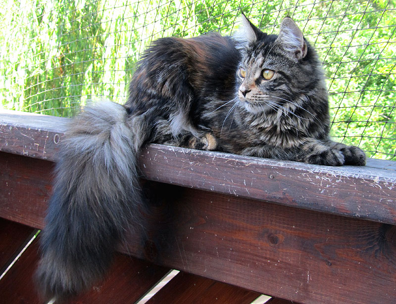 Foto: Carolin Skirl