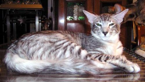 Foto: Friederike K.A.