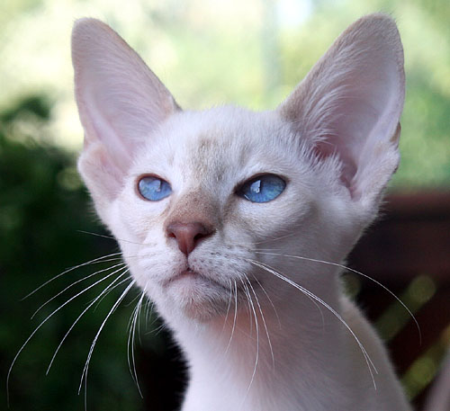 Photo: Carolin Skirl