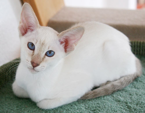 Photo: Carolin Skirl