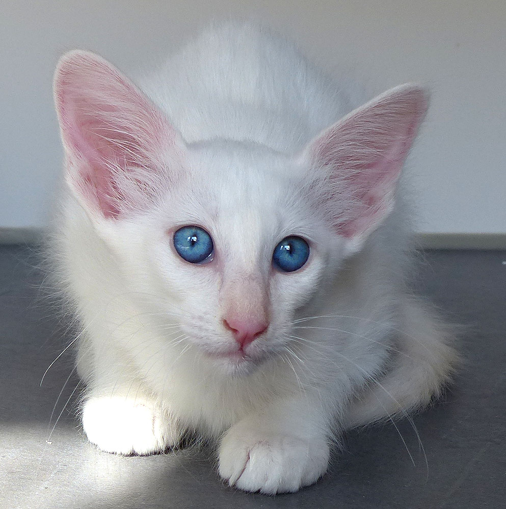 COPY - Foto: Carolin Skirl