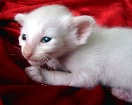 Foto: Hetty Zonnebeld