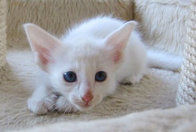 Foto: Hetty Zonnebeld