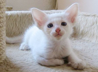 Foto: Hetty Zonnebeld