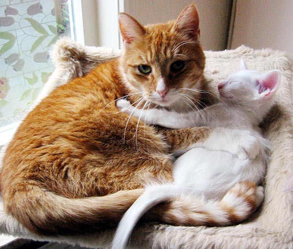 Foto: Hetty Zonnebeld