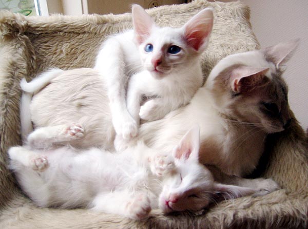 Foto: Hetty Zonnebeld