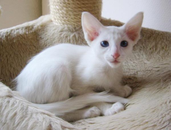 Foto: Hetty Zonnebeld