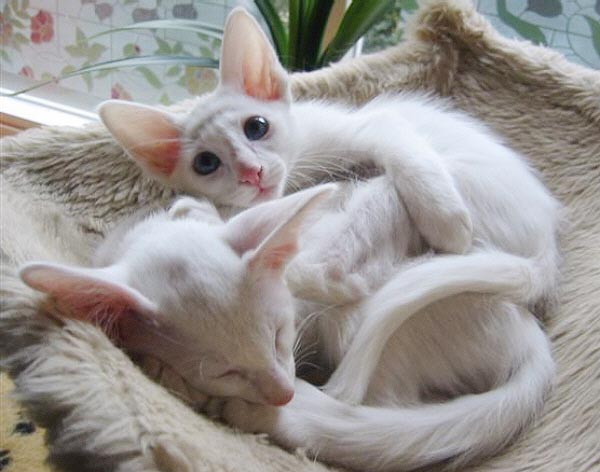 Foto: Hetty Zonnebeld