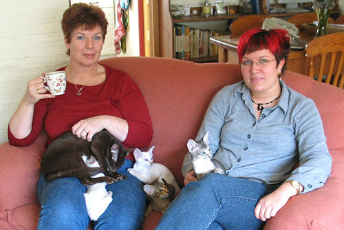 Astrid und Carolin mit der ganzen Katenmeute