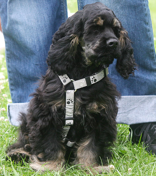 Baxter