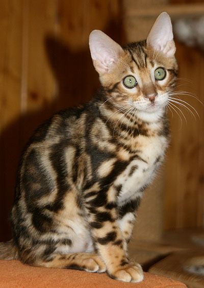 Foto: Carolin Skirl