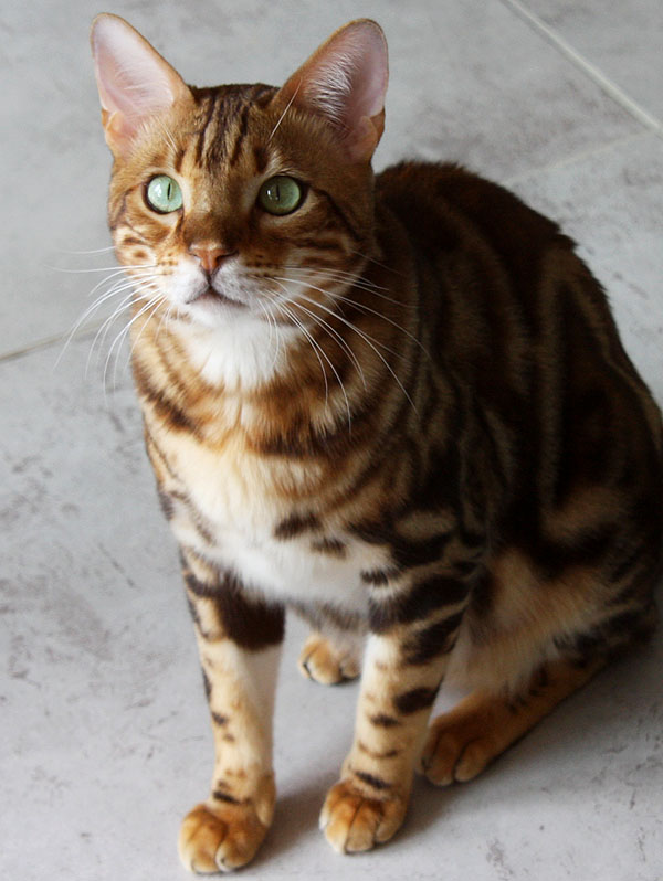 Foto: Carolin Skirl