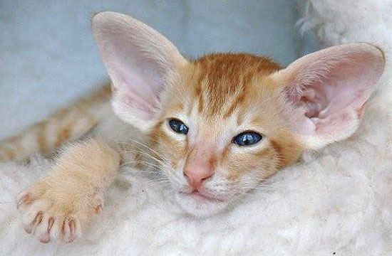 Foto: Marta Kilczewska