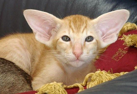 Foto: Marta Kilczewska