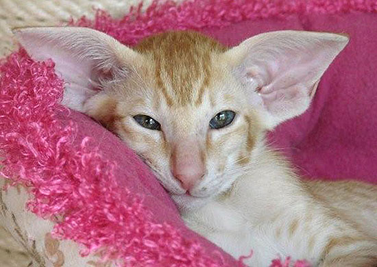 Foto: Marta Kilczewska