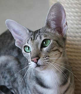 13/01/2008   Foto: Carolin Skirl