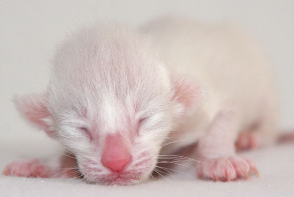 Photo: Carolin Skirl