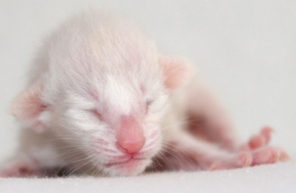 Photo: Carolin Skirl