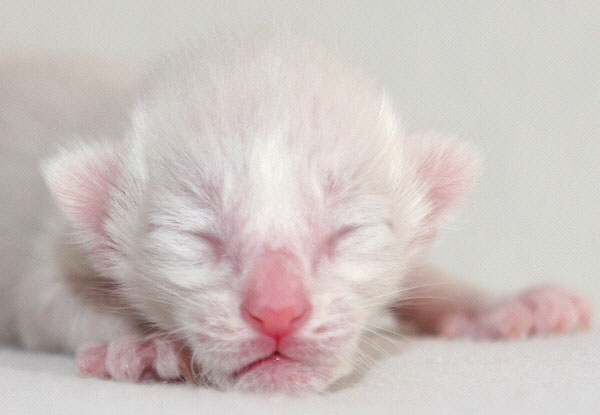 Photo: Carolin Skirl