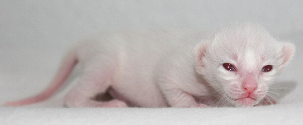 Photo: Carolin Skirl