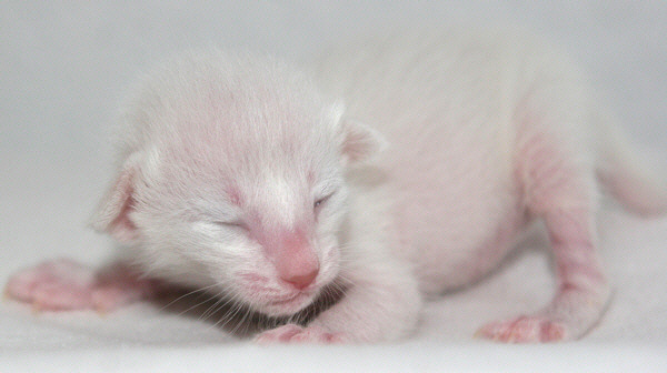 Photo: Carolin Skirl