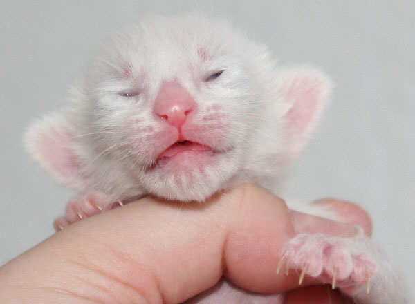 Photo: Carolin Skirl