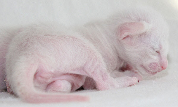 Photo: Carolin Skirl