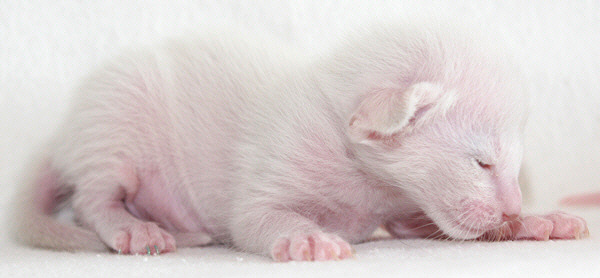 Photo: Carolin Skirl