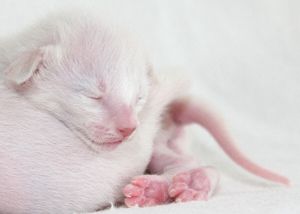 Photo: Carolin Skirl