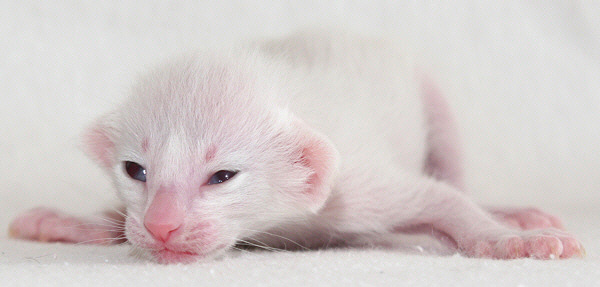 Photo: Carolin Skirl