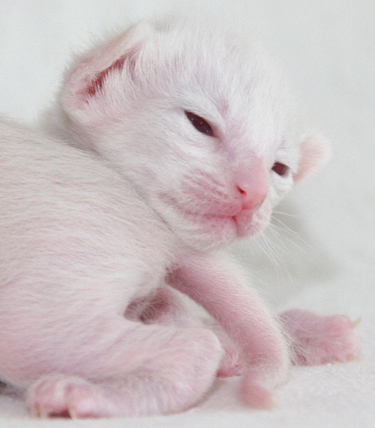 Photo: Carolin Skirl