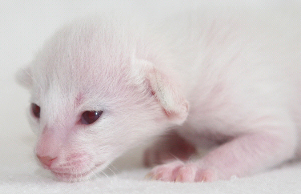 Photo: Carolin Skirl