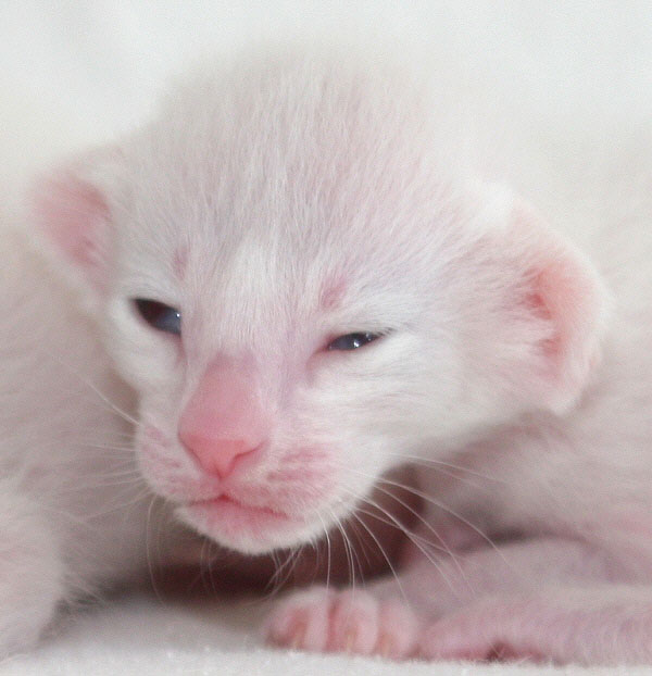 Photo: Carolin Skirl