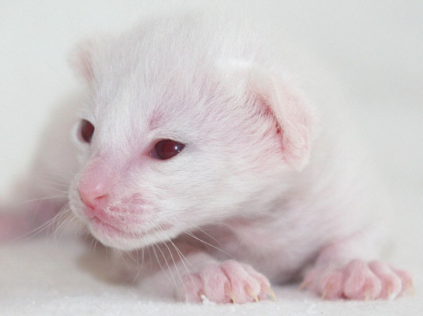 Photo: Carolin Skirl