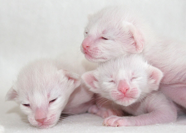 Photo: Carolin Skirl