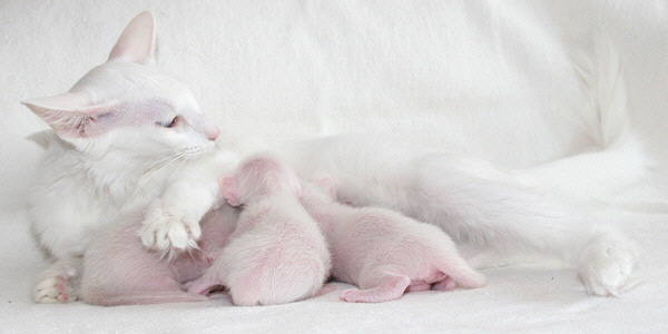 Photo: Carolin Skirl