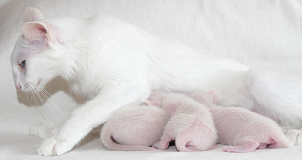 Photo: Carolin Skirl