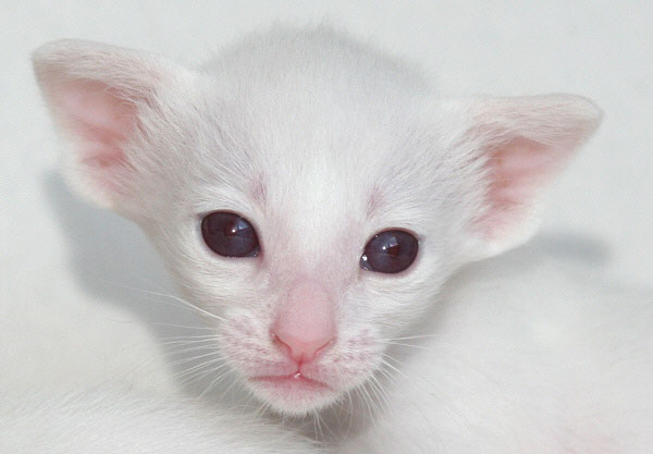 Photo: Carolin Skirl