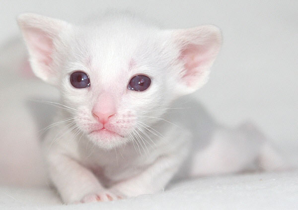 Photo: Carolin Skirl