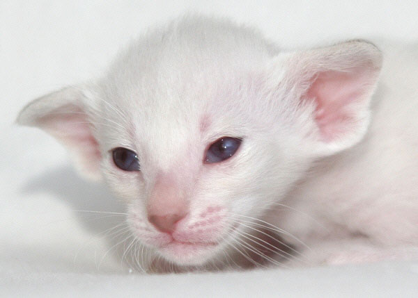 Photo: Carolin Skirl