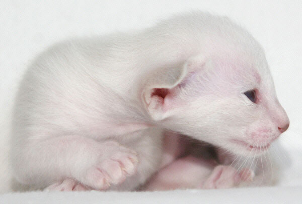 Photo: Carolin Skirl