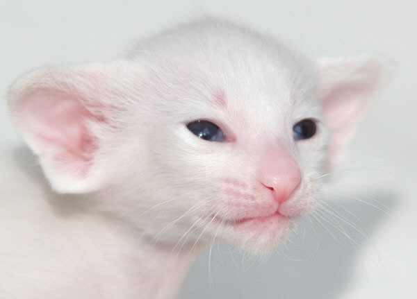 Photo: Carolin Skirl