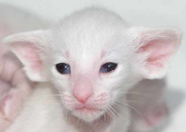 Photo: Carolin Skirl