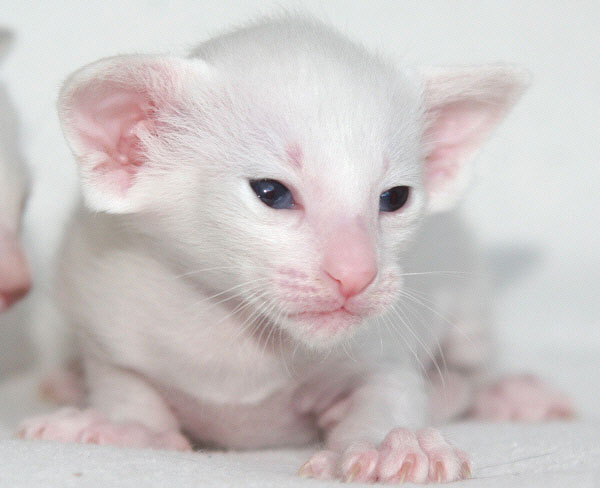 Photo: Carolin Skirl